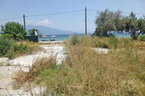 1243m² Land in Volos, Greece No. 60149 4