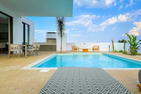 3 chambres House à Protaras, Cyprus No. 82036 6