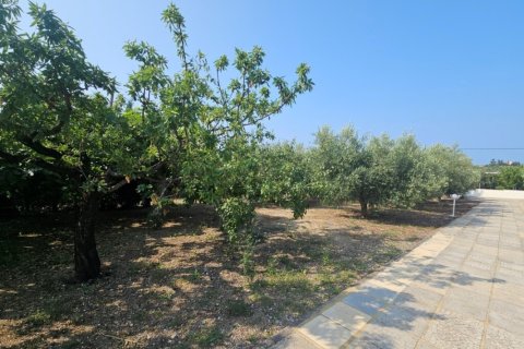 4 dormitorios Villa en Chalkidiki, Greece No. 104905 4