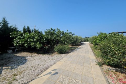 4 dormitorios Villa en Chalkidiki, Greece No. 104905 2