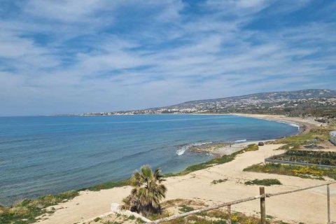 4 chambres Villa à Kissonerga, Cyprus No. 100696 11