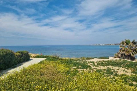 4 chambres Villa à Kissonerga, Cyprus No. 100696 3