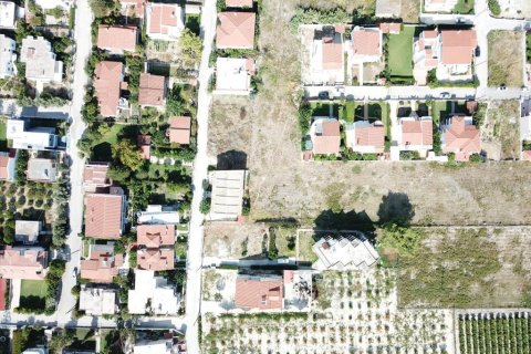 18445m² Land en Corinth, Greece No. 58223 2