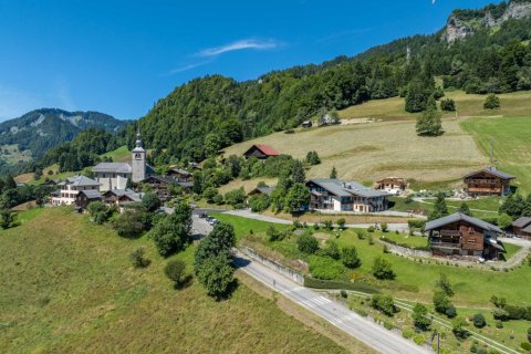 3 bedrooms Apartment in Praz-sur-Arly, France No. 99604 1