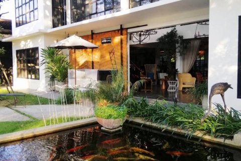 Коммерческая недвижимость в Чиангмай, Таиланд №98012 4