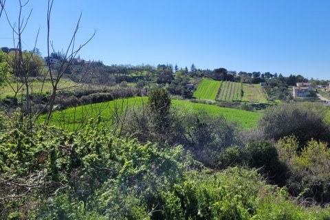 4625m² Land in Thessaloniki, Greece No. 108050 3