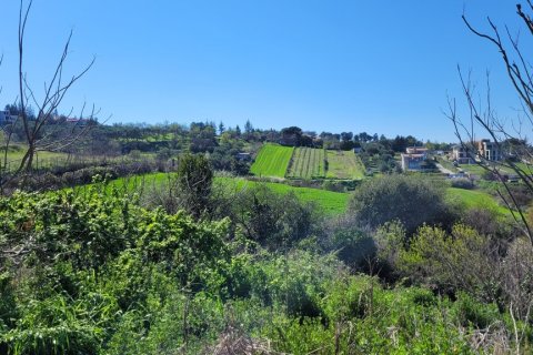 4625m² Land in Thessaloniki, Greece No. 108050 2