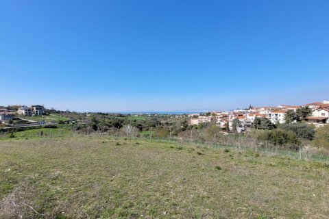 4625m² Land in Thessaloniki, Greece No. 108050 5