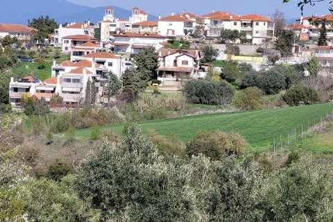 4625m² Land in Thessaloniki, Greece No. 108050 6