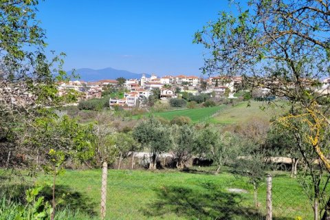 4625m² Land in Thessaloniki, Greece No. 108050 4