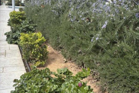 2 bedrooms Apartment in Agios Tychonas, Cyprus No. 79941 10