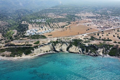 Квартира с 1 спальней в Phu Ngai, Вьетнам №17597 14