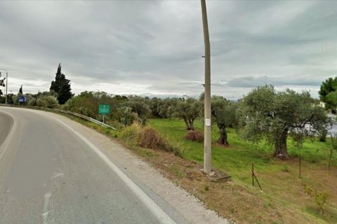 2570m² Land in Thasos, Greece No. 109537 1