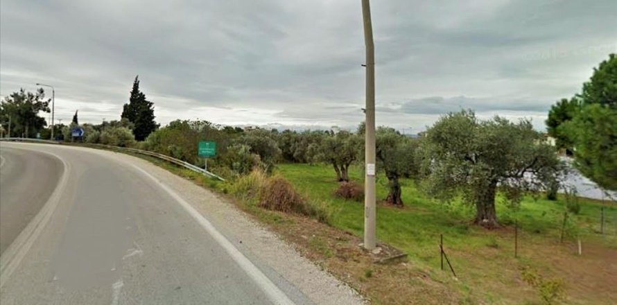 2570m² Land in Thasos, Greece No. 109537