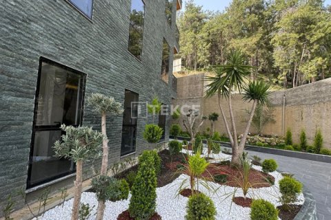 2 chambres Penthouse à Chau Lang, Vietnam No. 80563 7