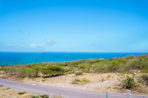 5 bedrooms Villa in Butlers, Saint Kitts and Nevis No. 61466 26