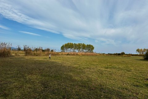 10000m² Land en Chalkidiki, Greece No. 108986