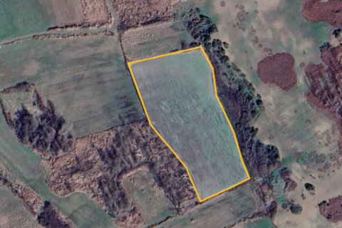 10000m² Land à Chalkidiki, Greece No. 108986 8