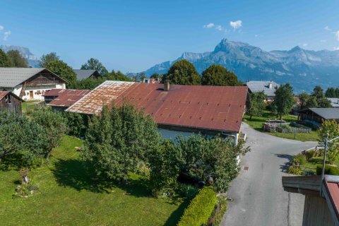 520m² House in Demi-Quartier, France No. 100095 7