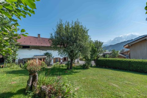 520m² House in Demi-Quartier, France No. 100095 4