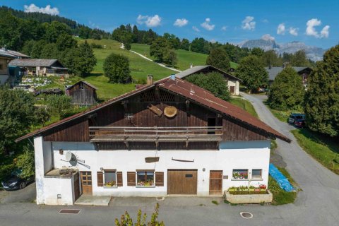 520m² House in Demi-Quartier, France No. 100095 2