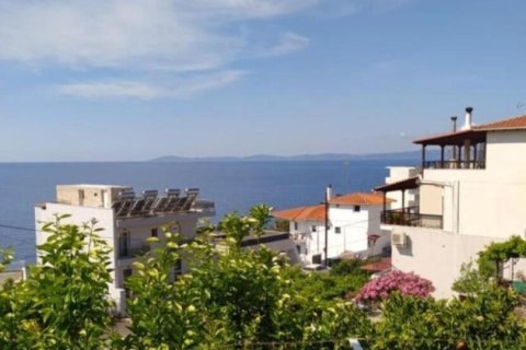 386m² Hotel à Chalkidiki, Greece No. 107342 6