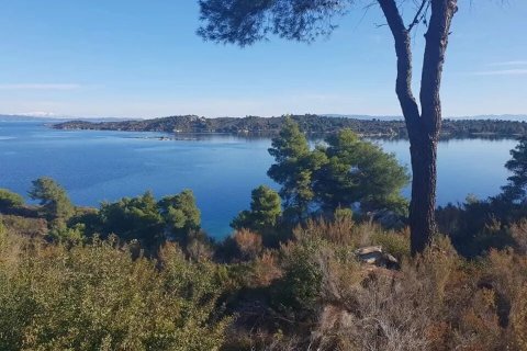 5 habitaciones House en Chalkidiki, Greece No. 107661 8