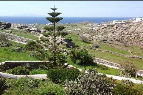 3 bedrooms House in Mykonos, Greece No. 107993 13