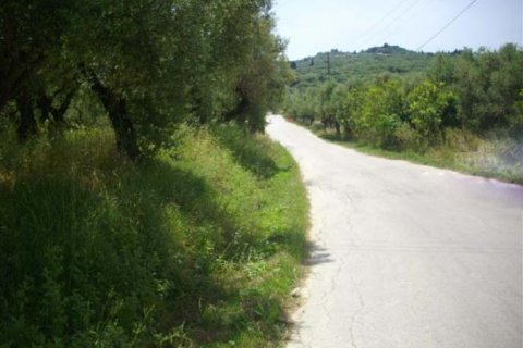 Land in Zakynthos, Greece No. 24570 3