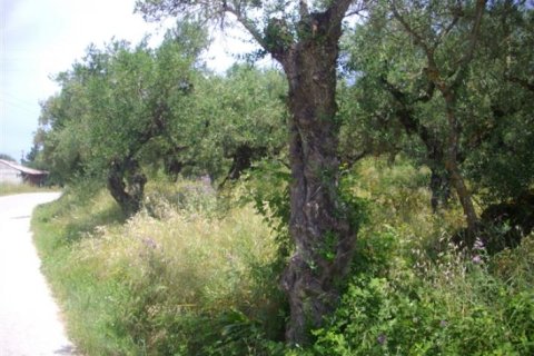 Land in Zakynthos, Greece No. 24570 2