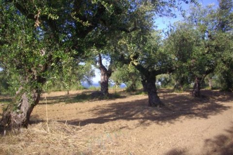 Land in Zakynthos, Greece No. 24570 4