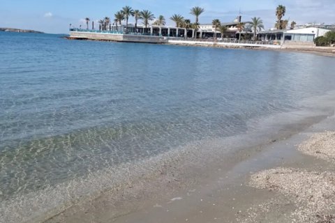 1 bedroom Apartment in Voula, Greece No. 116820 19