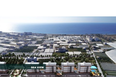 5 dormitorios Penthouse en Chau Lang, Vietnam No. 15188 30