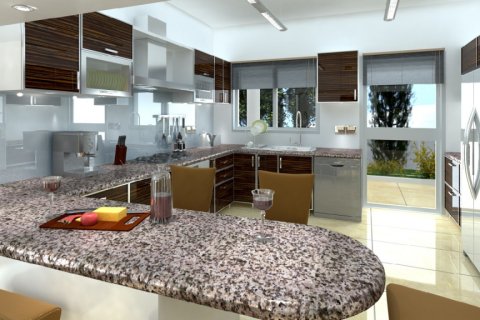 4 rooms Villa in Paphos, Cyprus No. 105160 5