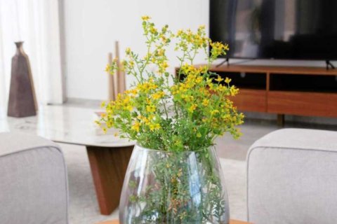 5 dormitorios House en Pegeia, Cyprus No. 30569 11