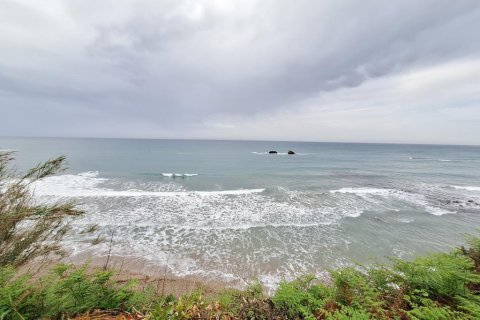 4444m² Land in Corfu, Greece No. 107997 13