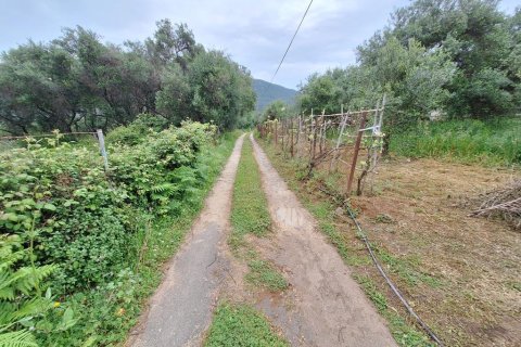 4444m² Land in Corfu, Greece No. 107997 22