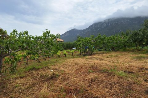 4444m² Land in Corfu, Greece No. 107997 4