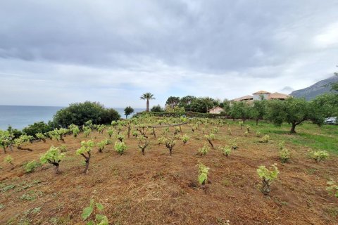 4444m² Land in Corfu, Greece No. 107997 6