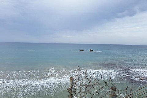 4444m² Land in Corfu, Greece No. 107997 2