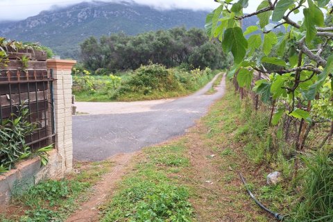 4444m² Land in Corfu, Greece No. 107997 23