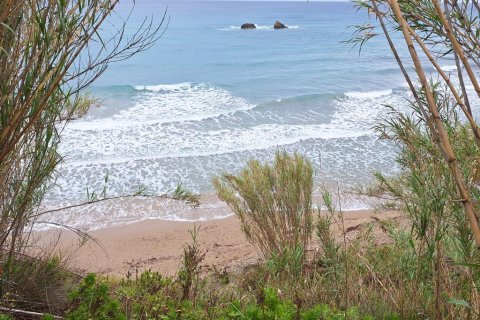 4444m² Land in Corfu, Greece No. 107997