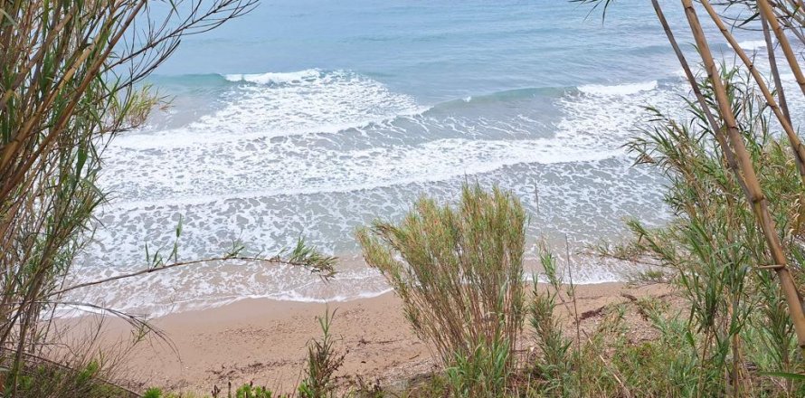 4444m² Land en Corfu, Greece No. 107997