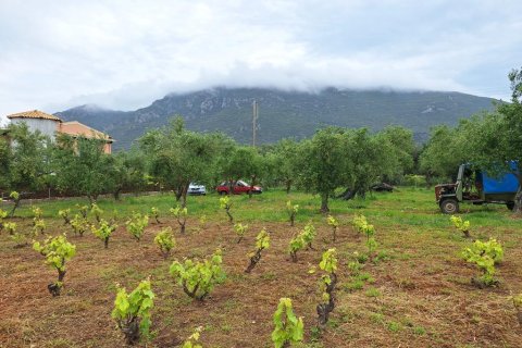 4444m² Land in Corfu, Greece No. 107997 7