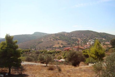 9780m² Land en Kalyvia Thorikou, Greece No. 60214 1