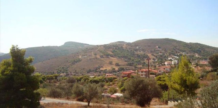 9780m² Land en Kalyvia Thorikou, Greece No. 60214