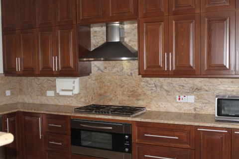 Вилла с 3 спальнями в Лимассол, Кипр №105919 14