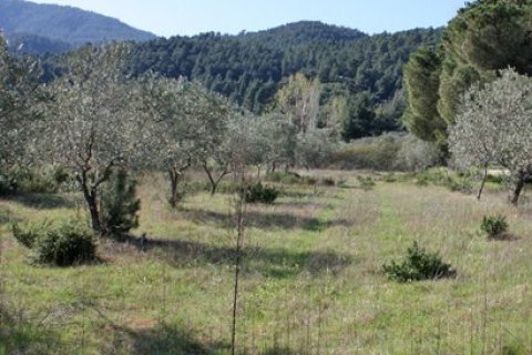 17643m² Land in Chalkidiki, Greece No. 60664 2