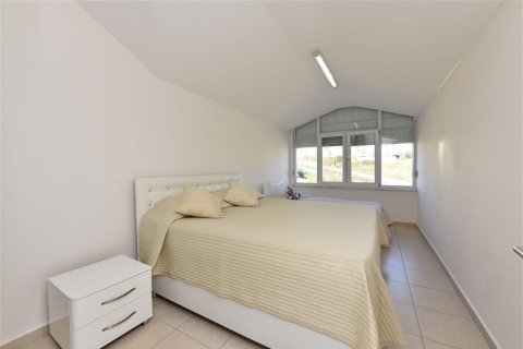 5 bedrooms Villa in Phong Thanh Tay A, Vietnam No. 12014 24