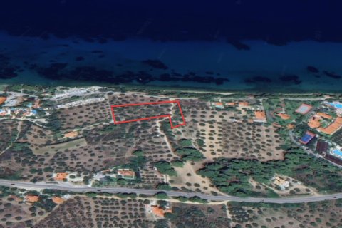 Земельный участок 4462м² в Халкидики, Греция №109297